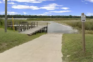 25094 NE 132nd Ln, Salt Springs, FL 32134 - Photo 83