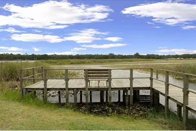 25094 NE 132nd Lane, Salt Springs, FL 32134 - Photo 81