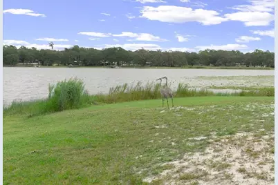 25094 NE 132nd Lane, Salt Springs, FL 32134 - Photo 77