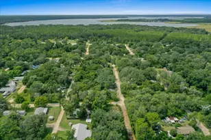 25094 NE 132nd Ln, Salt Springs, FL 32134 - Photo 65