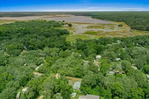 25094 NE 132nd Ln, Salt Springs, FL 32134 - Photo 63