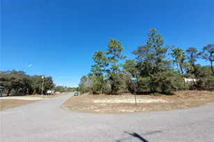 3153 W Eunice Dr, Dunnellon, FL 34433 - Photo 1