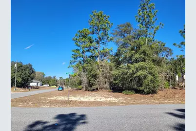 3153 W Eunice Drive, Dunnellon, FL 34433 - Photo 5