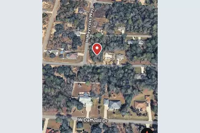 3153 W Eunice Drive, Dunnellon, FL 34433 - Photo 13