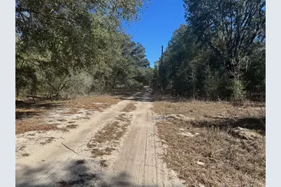 Lots 19-24 NW 16th Place, Ocala, FL 34482 - Photo 5