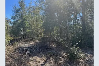 Lots 19-24 NW 16th Place, Ocala, FL 34482 - Photo 7