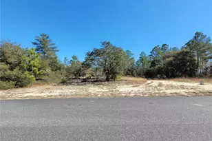 3138 W Redgate Dr, Dunnellon, FL 34433 - Photo 1