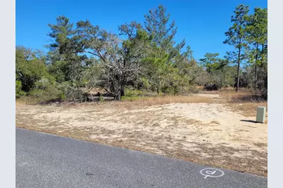 3138 W Redgate Drive, Dunnellon, FL 34433 - Photo 3