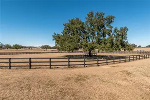 12610 NW Gainesville Rd, Reddick, FL 32686 - Photo 55