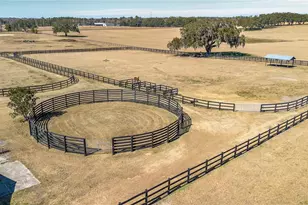 12610 NW Gainesville Rd, Reddick, FL 32686 - Photo 59