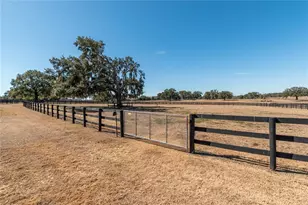 12610 NW Gainesville Rd, Reddick, FL 32686 - Photo 67