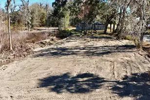 Tbd SE 65th Ave, Summerfield, FL 34491 - Photo 1