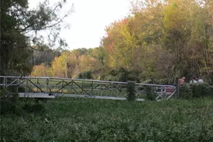 18592 SE 21st St, Silver Springs, FL 34488 - Photo 37