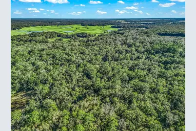 0 SE 165th Avenue, Williston, FL 32696 - Photo 13