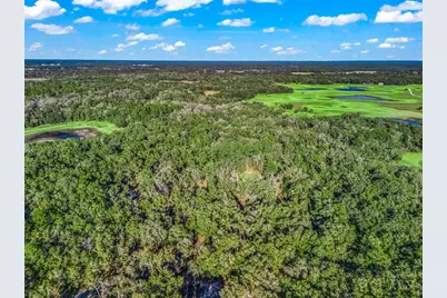 0 SE 165th Avenue, Williston, FL 32696 - Photo 9