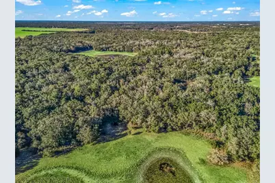 0 SE 165th Avenue, Williston, FL 32696 - Photo 17