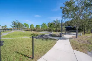 18162 Frame Bend, Land O Lakes, FL 34638 - Photo 79
