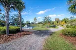 18162 Frame Bend, Land O Lakes, FL 34638 - Photo 75