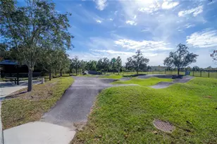 18162 Frame Bend, Land O Lakes, FL 34638 - Photo 85