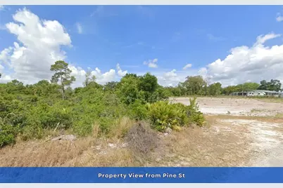 7 Pine Street, Lake Placid, FL 33852 - Photo 9