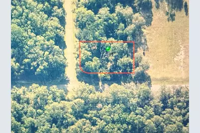 1782 E Utah Lane, Dunnellon, FL 34434 - Photo 1