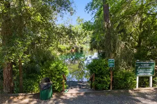 19395 SW 100th Loop, Dunnellon, FL 34432 - Photo 47