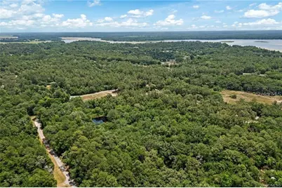 11151 Hwy 40 E, Inglis, FL 34449 - Photo 3