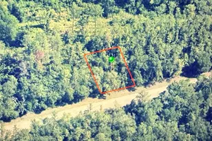 781 E Byrd Loop, Dunnellon, FL 34434 - Photo 1