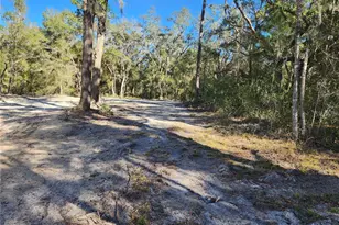 7513 W Dunklin St, Dunnellon, FL 34433 - Photo 27