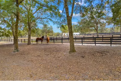 12350 NW Hwy 225 NW Hwy 225, Reddick, FL 32686 - Photo 87