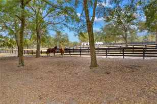 12350 NW Hwy 225 NW Hwy 225, Reddick, FL 32686 - Photo 87