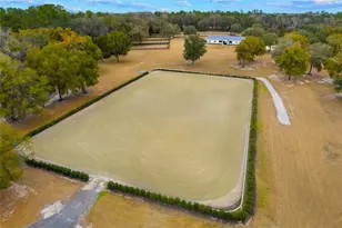 12350 NW Hwy 225 NW Hwy 225, Reddick, FL 32686 - Photo 57