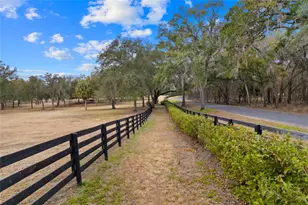 12350 NW Hwy 225 NW Hwy 225, Reddick, FL 32686 - Photo 85