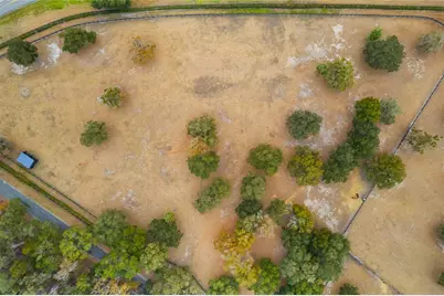 12350 NW Hwy 225 NW Hwy 225, Reddick, FL 32686 - Photo 63