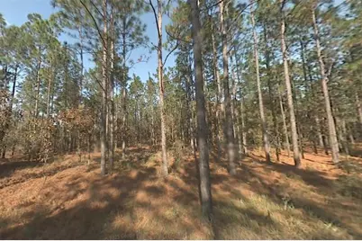 00 SW 39th Street, Dunnellon, FL 34432 - Photo 1