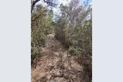 Tbd NE 170th Avenue Road, Fort Mc Coy, FL 32134 - Photo 5