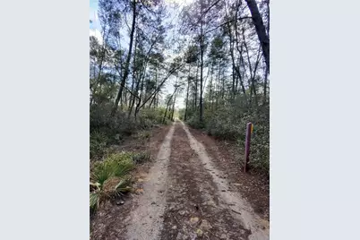 Tbd NE 170th Avenue Road, Fort Mc Coy, FL 32134 - Photo 3