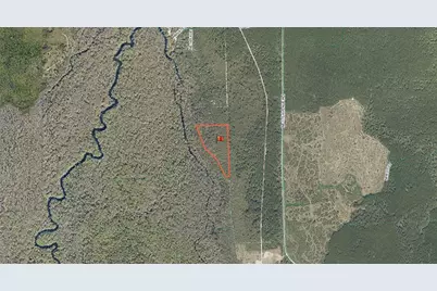 Tbd NE 170th Avenue Road, Fort Mc Coy, FL 32134 - Photo 9