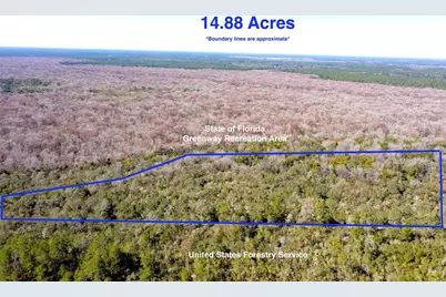Tbd NE 170th Avenue Road, Fort Mc Coy, FL 32134 - Photo 1