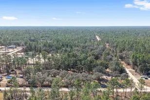 8135 SW 125th Terrace, Dunnellon, FL 34432 - Photo 81