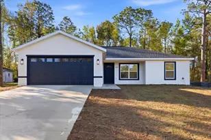 2992 W Camilo Dr, Citrus Springs, FL 34434 - Photo 1