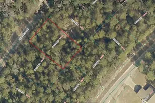 Tbd SE Fisher Run Terrace, Ocala, FL 34472 - Photo 1