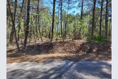 Tbd SE Fisher Run Terrace #LOT 16, Ocala, FL 34472 - Photo 3