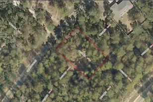 Tbd SE Fisher Run Terrace, Ocala, FL 34472 - Photo 1