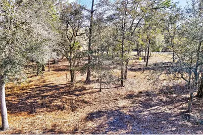 10051 N Marigold Terrace, Crystal River, FL 34428 - Photo 11