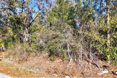 10051 N Marigold Terrace, Crystal River, FL 34428 - Photo 19