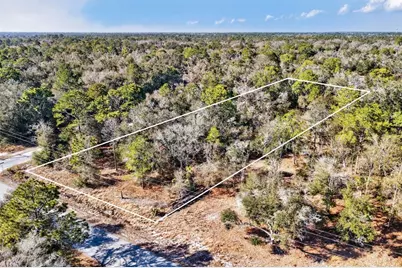 10051 N Marigold Terrace, Crystal River, FL 34428 - Photo 3