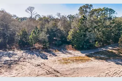 10051 N Marigold Terrace, Crystal River, FL 34428 - Photo 9