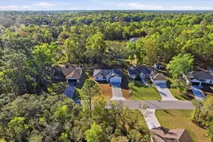 2980 W Camilo Dr, Citrus Springs, FL 34434 - Photo 41