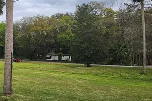 Tbd Cr 426, Lake Panasoffkee, FL 33538 - Photo 1